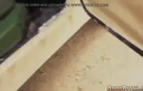 الشباب الكلية في سن المراهقة الملاعين نفسها في الحمام ولها النشوة الجنسية.