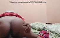 Mastiffing الحمار مع لعبة كبيرة.