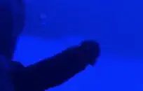 سميكة فتاة بيضاء تمتص الديك الأسود الكبير.