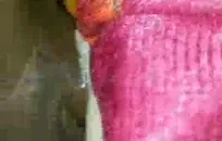 شاعر المليون في الحمار في جوارب طويلة حار جدا