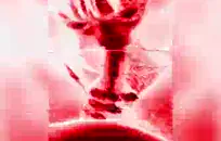 رعشة منفردا ونائب الرئيس للعبتي الجديدة.